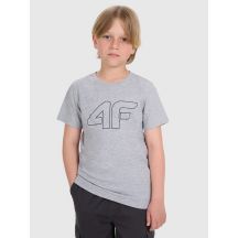 Normal bedrucktes Jungen-T-Shirt 4F 4FJRMM00TTSHM3255-25M
