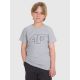 Normal bedrucktes Jungen-T-Shirt 4F 4FJRMM00TTSHM3255-25M