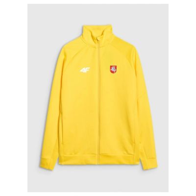 3. Herren-Trainings-Sweatshirt ohne Kapuze 4F 4FSAW24TFSWM0811-71S