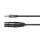 2. Ugreen Audiokabel 3,5 mm Miniklinke (männlich) – XLR (weiblich) 1 m schwarz (AV182)