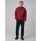 6. Herren-Kapuzenpullover, regulär, Größe 4F 4FRSS26TSWSM2975-20S