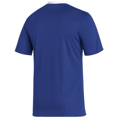 2. Adidas Entrada 22 JSY M T-Shirt HG6283