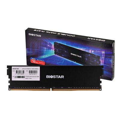 7. DDR4 Biostar 16GB 3200MHz Heatsink Storming Arbeitsspeicher