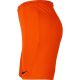6. Nike Dry Park III NB KM Shorts BV6855 819