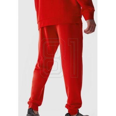 2. Pants 4F CAS M451 M 4FAW23TTROM451-62S
