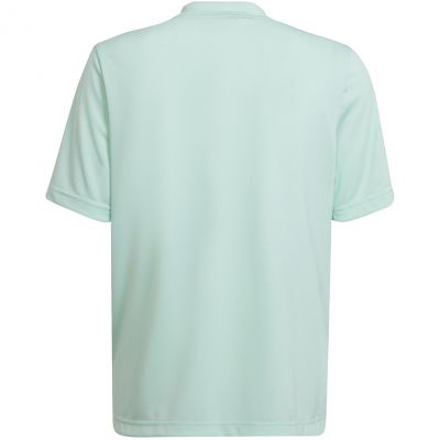 3. adidas Entrada 22 Graphic Jersey Jr HF0127
