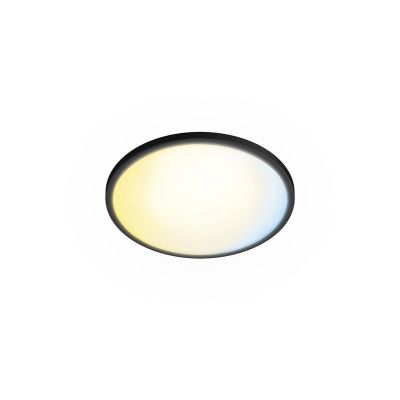 Philips Valen 22W Deckenleuchte