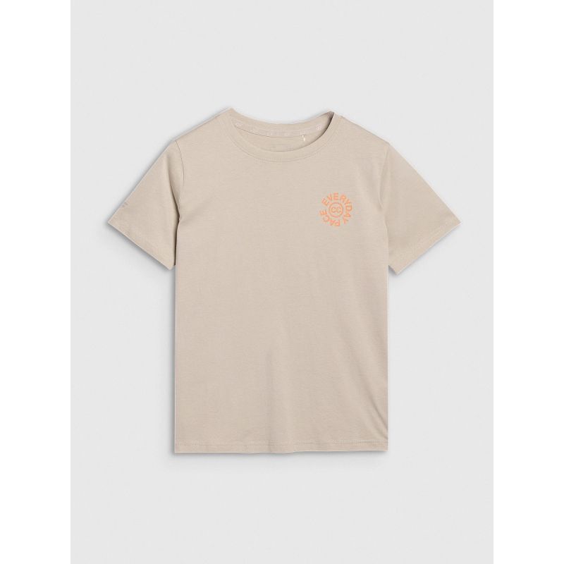 6. Übergroßes bedrucktes Damen-T-Shirt 4F 4FWSS25TTSHF1994-83S