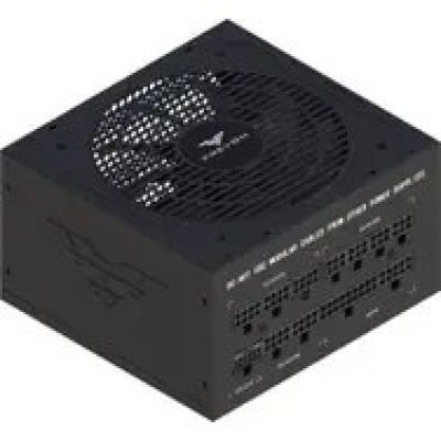 PREYON Eagle Power GOLD 1000W PCI-E 5.1, ATX 3.1, 80 Plus Gold Netzteil (PEPG1000W)