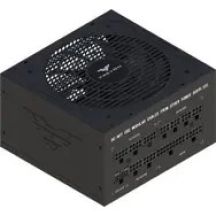 PREYON Eagle Power GOLD 1000W PCI-E 5.1, ATX 3.1, 80 Plus Gold Netzteil (PEPG1000W)