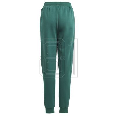 2. adidas BLUV Q3 Pant Jr IA1553