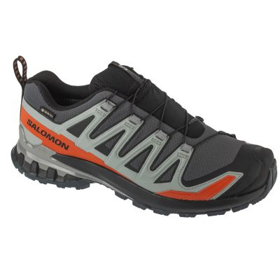 Salomon XA Pro 3D v9 GTX L47817500 Grau 40