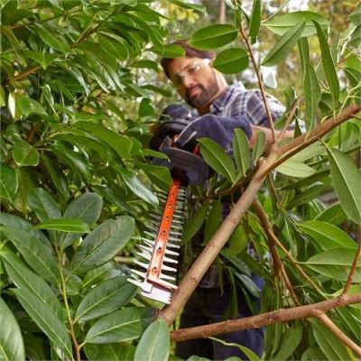 15. Elektrische Gartenschere 55 cm BEHTS401 BLACK+DECKER