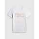 Herren-T-Shirt 4F 4FWSS26TTSHM3035-10S