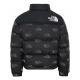 2. The North Face Junior Teen Printed 1996 Retro Nuptse Jacke - NF0A7WQM97M