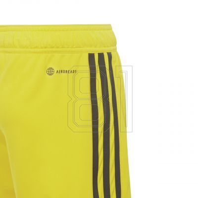 3. adidas Tiro 23 League Jr IB8095 Shorts