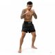8. Schwarze Muay-Thai-Shorts für Herren V1 COMBATWEAR | DBX Bushido