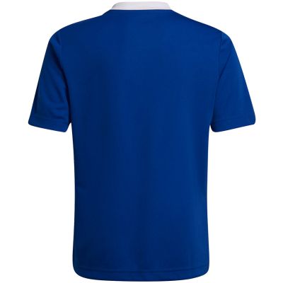 7. Adidas Entrada 22 Jsy Jr T-Shirt HG3948