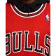 4. Mitchell & Ness Herren Chicago Bulls NBA Swingman Jersey Scottie Pippen #33 SMJYGS18153-CBUSCAR97SPIN