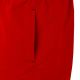 6. Crowell M 300/400 rote Badeshorts