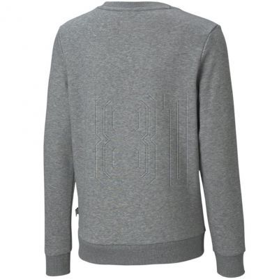 2. Puma ESS+ 2 Col Big Logo Crew FL Jr Sweatshirt 586986 03