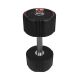 37. Body Sculpture TPU Hantel BW 133 16 KG
