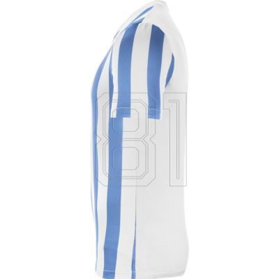3. Nike Striped Division IV M CW3813-103 Fußballtrikot