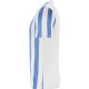 3. Nike Striped Division IV M CW3813-103 Fußballtrikot