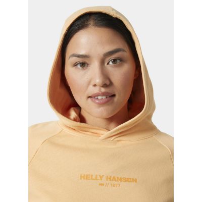 3. Helly Hansen W Core Hoodie W 54033 316