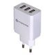 everActive SC-300 Wandladegerät (USB; weiß)