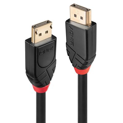 2. Lindy 41081 DisplayPort-Kabel 20 m Schwarz