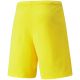 4. Puma teamRISE Cyber M 704942 07 Shorts