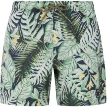 Herren-Badeshorts PROTEST Prtglory khaki