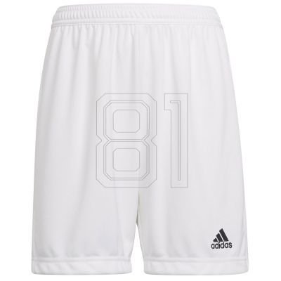 Adidas Entrada 22 Short Y Jr Shorts HG6292