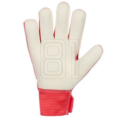 3. Nike Match Jr Torwarthandschuhe HQ0258-850