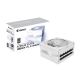 12. Gigabyte AORUS ELITE P1000W 80+ Platinum Modulares PCIe 5.0 ICE Netzteil (GP-AE1000PM PG5 ICE)