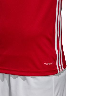 20. Adidas Regista 18 Trikot M CE1713
