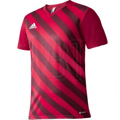 adidas Entrada 22 Graphic Jersey Jr H58983