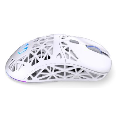25. ENDORFY LIV Plus Kabellose Gaming-Maus in Onyxweiß, beidhändig bedienbar, Bluetooth, optisch, 26000 DPI