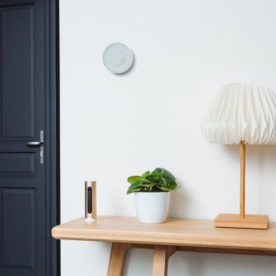 Intelligenter Hausalarm NETATMO