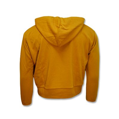 2. Nike Damen-Hoodie „Standard Issue“ Wmns Chutney/Pale Ivory – DA6483-712