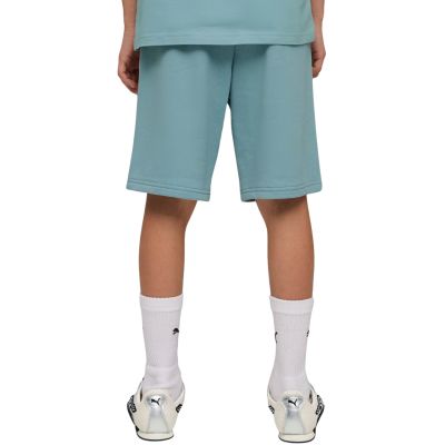 4. Puma ESS Small No. 1 Logo Kindershorts Blau 692974 47