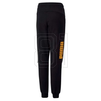 9. Puma Power Jr 670100 51 Hose