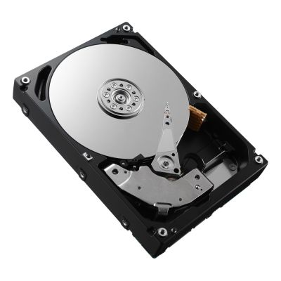 3. DELL 161-BBRX 8 TB 7200 U/min 3,5" SAS-Festplatte