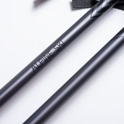 6. ALPINE SKI II Stöcke