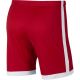 2. Nike Dry Academy M AJ9994-657 football shorts