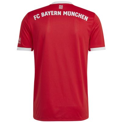 5. Adidas FC Bayern H Jsy M H39900 T-Shirt