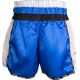 9. Top Ten "Wako Star" Kickbox-Shorts M 0418641-02M