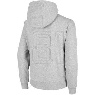 2. Sweatshirt 4F Jr HJZ22 JBLM006 27M