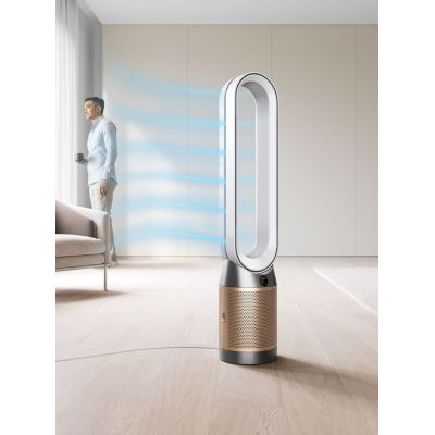 5. DYSON Purifier Cool PC2 De-No Luftreiniger
